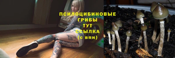 соль ск Алексин