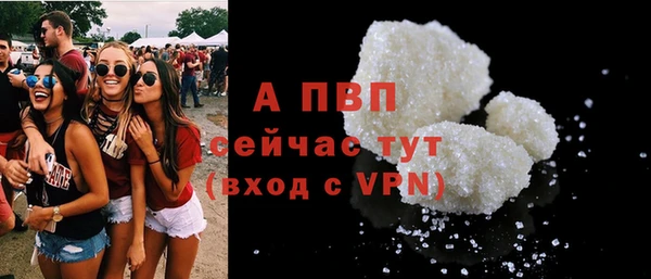 соль ск Алексин