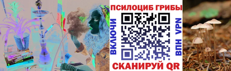 где купить наркоту  Махачкала  Галлюциногенные грибы прущие грибы 